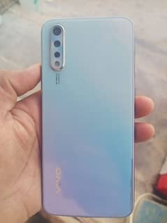 vivo