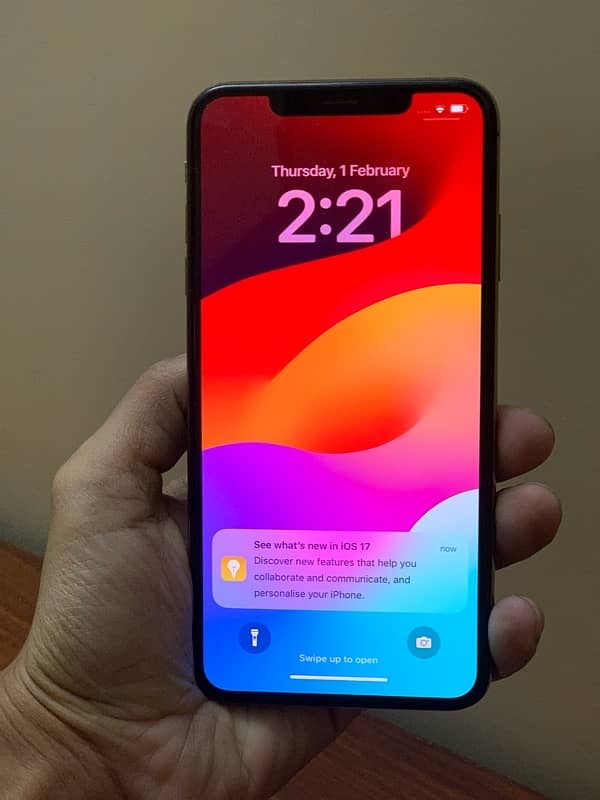 XS Max Gold 64GB PTA Approved 2