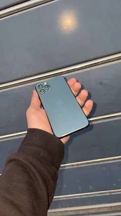 iPhone 11 por