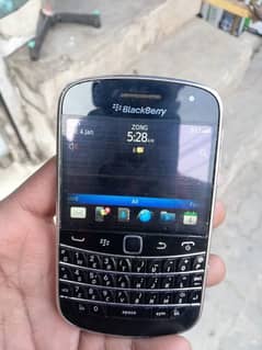 blackberry bold