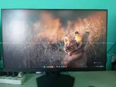 Msi g244f Gaming Monitor