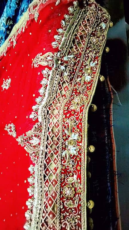 Bridle Dress (Lehnga) 0