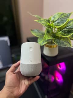 google home