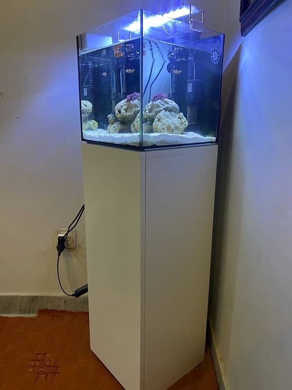 saltwater aquarium full setup 1