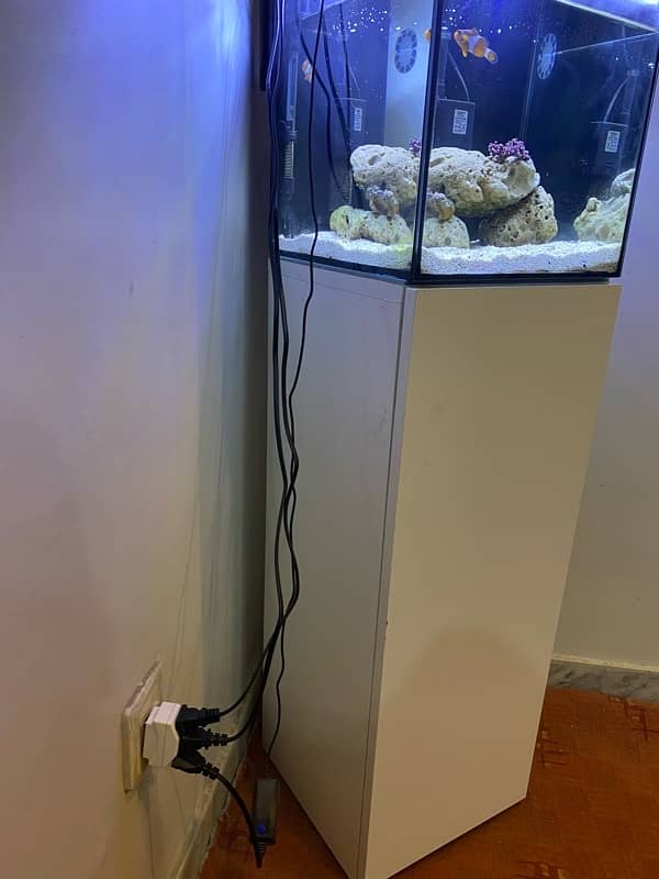 saltwater aquarium full setup 4