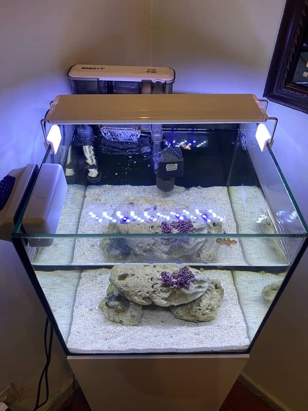 saltwater aquarium full setup 7