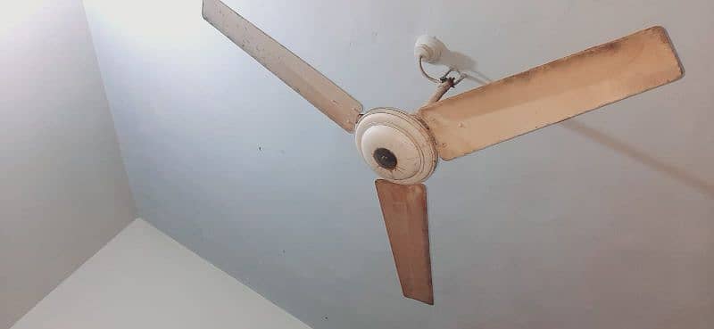 selling fan and DC pedestal fan for sale 1