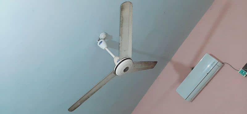 selling fan and DC pedestal fan for sale 3