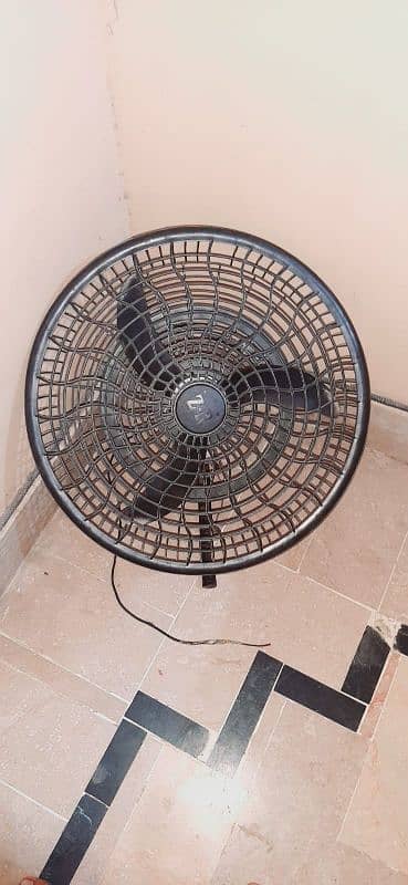 selling fan and DC pedestal fan for sale 4