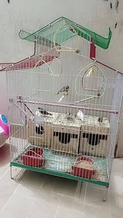 3 pairs of finches with cage