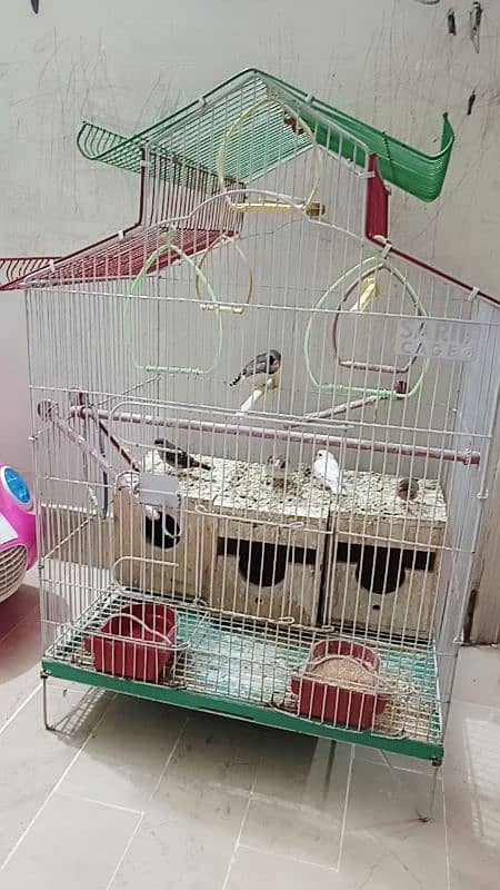 3 pairs of finches with cage 0