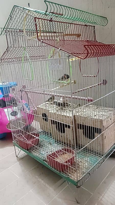 3 pairs of finches with cage 1