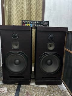 Amplifier speakers woofers