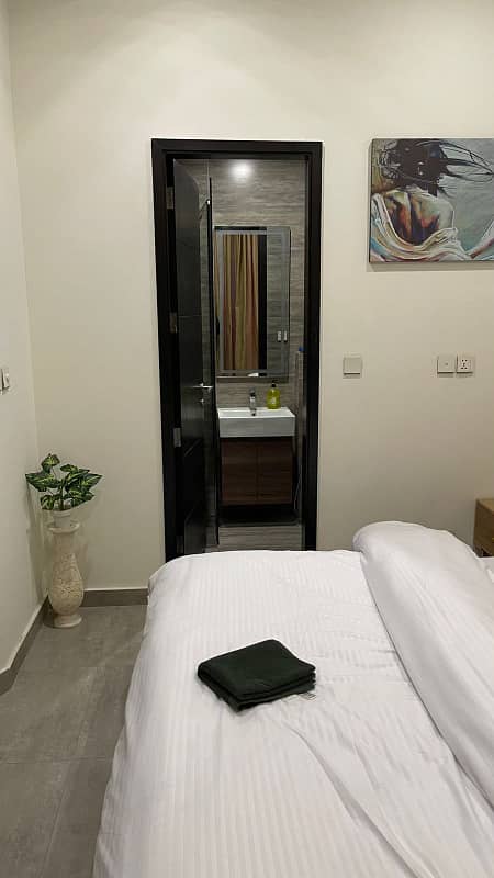 2 BHK luxury furnished Apartment Delhi basis 23