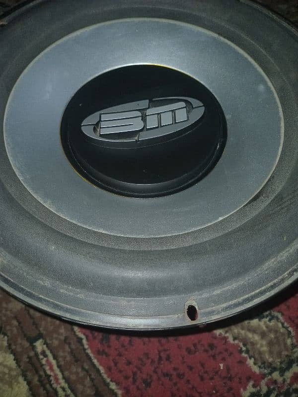 bm woofer 1