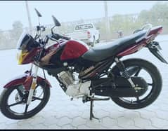 Yamaha YBR 125 2024 New Condition