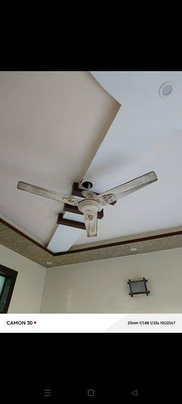 ceiling fans 2