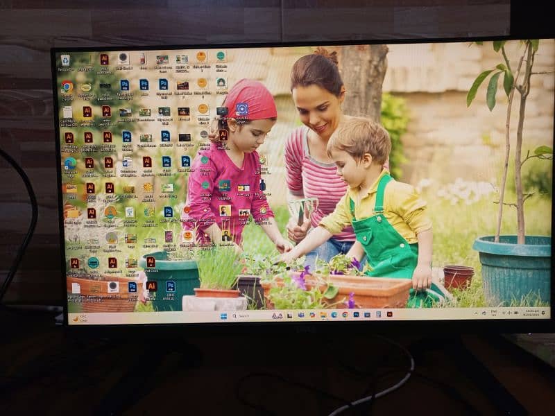 DELL BORDERLESS IPS LED MONITOR 2