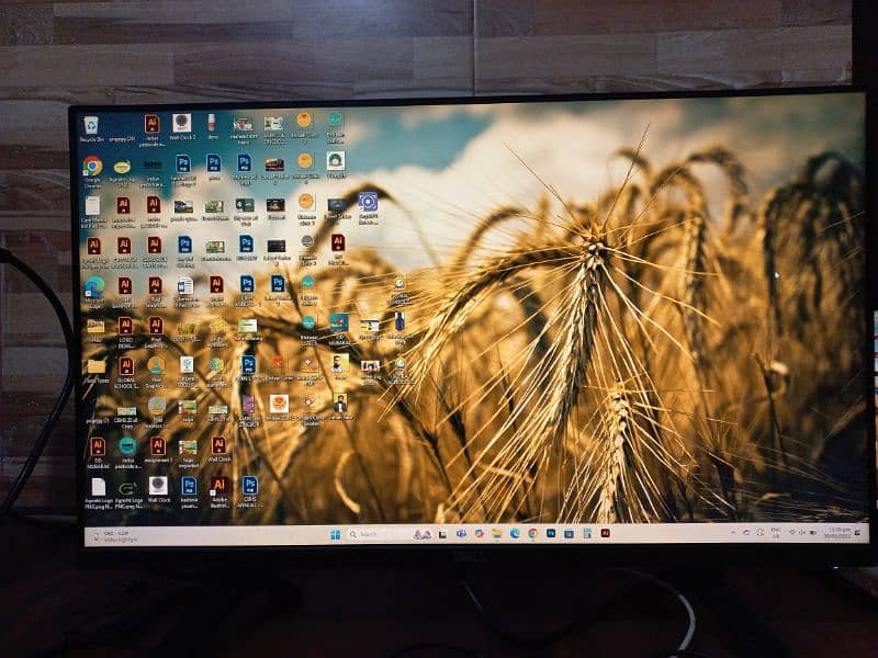 DELL BORDERLESS IPS LED MONITOR 5