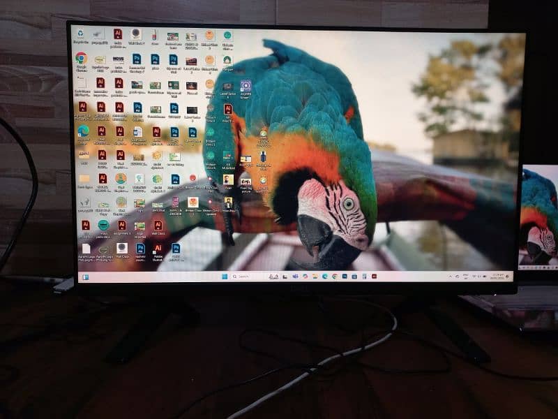 DELL BORDERLESS IPS LED MONITOR 10