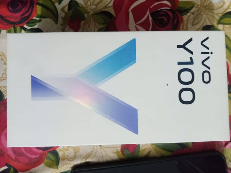 Vivo Y100 2