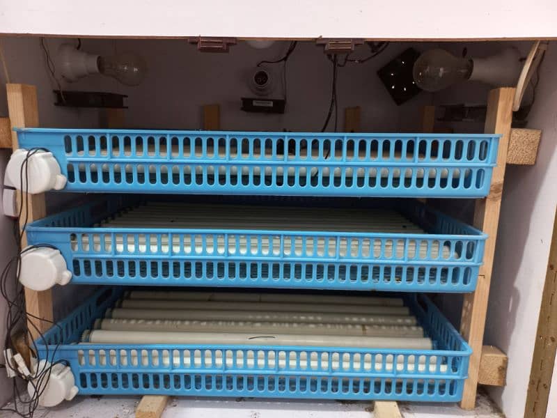 Automatic Incubator 2