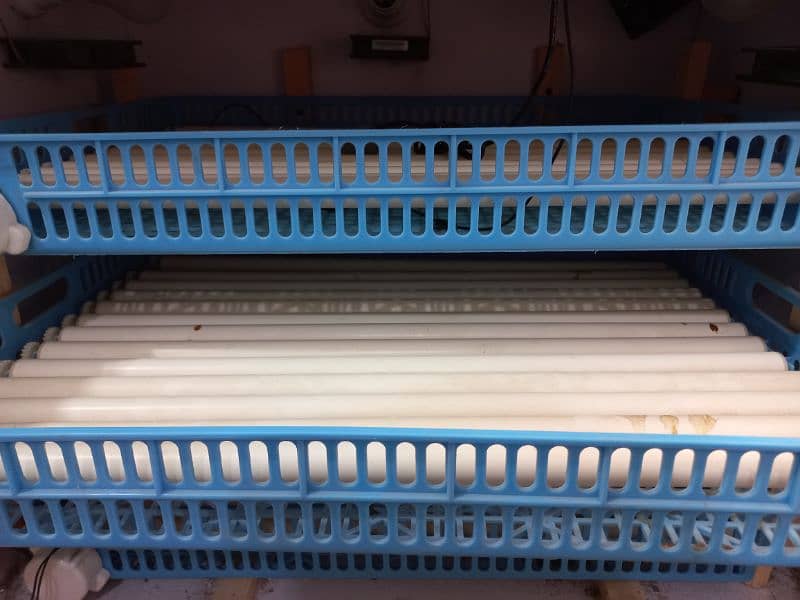 Automatic Incubator 4