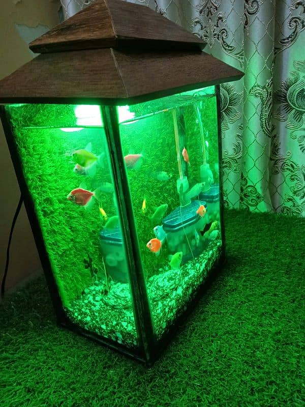 18 Fishes with Aquarium and all accessories 0