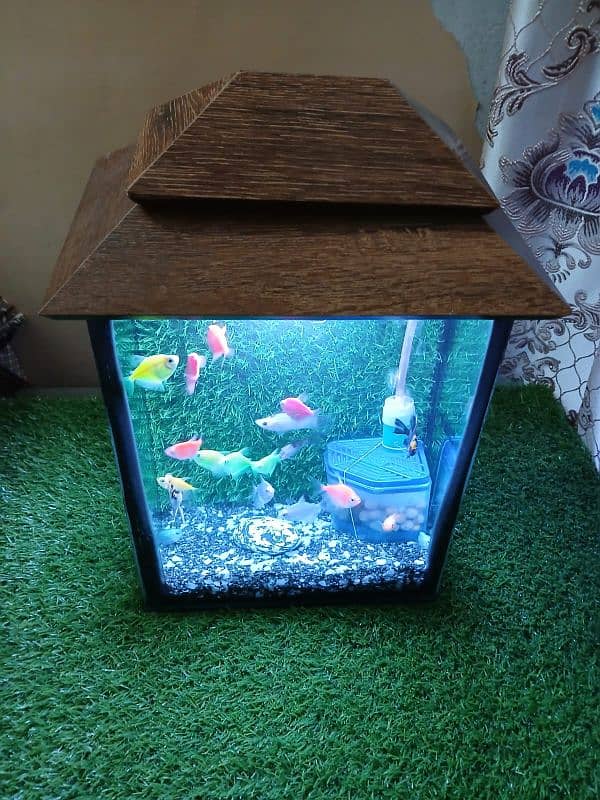 18 Fishes with Aquarium and all accessories 2