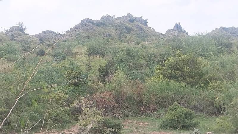 Pindigheb Agricultural Land For Sale 1