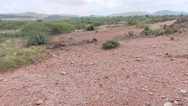 Pindigheb Agricultural Land For Sale 3