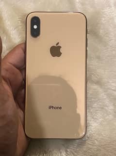 iphone xs golden colour