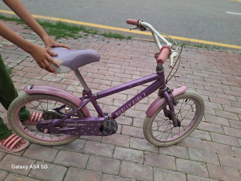 Girl Bicycle 0