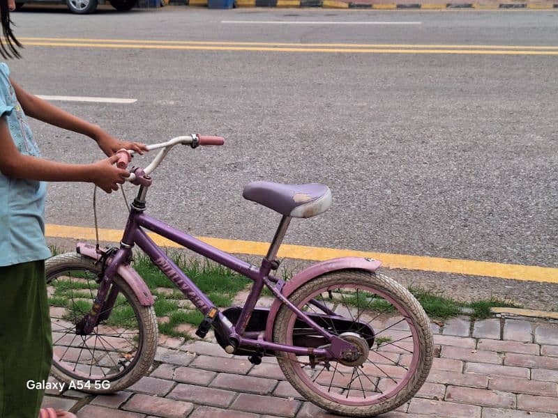 Girl Bicycle 1