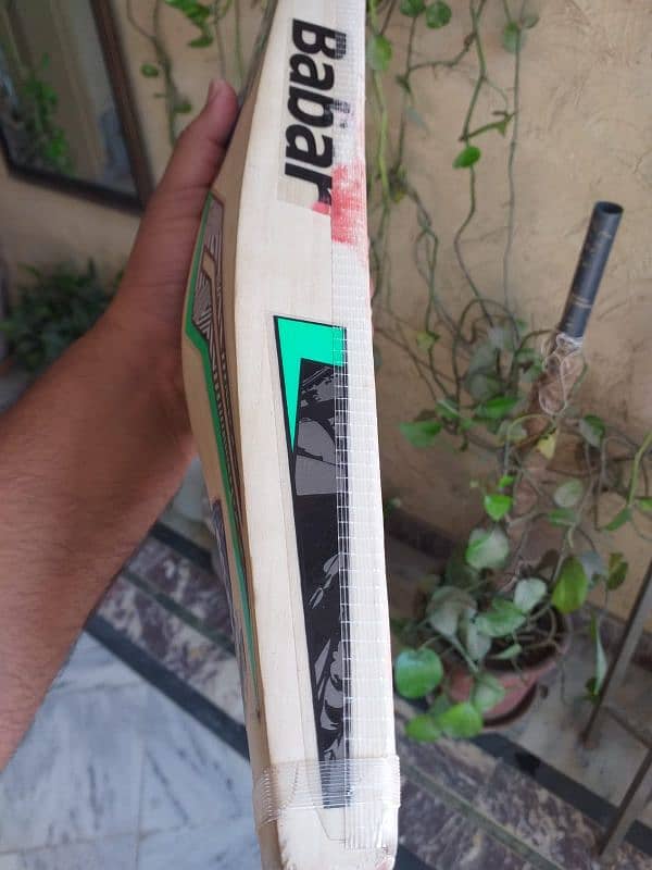 Hard ball Cricket bat 2