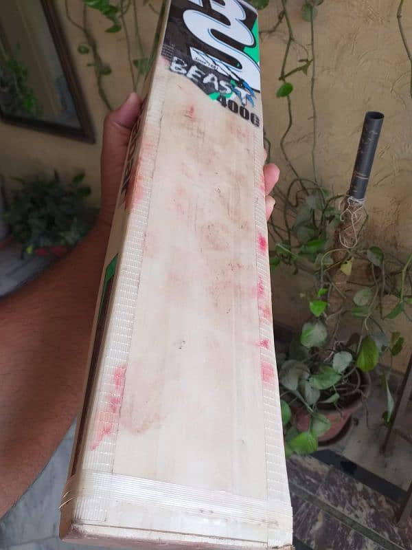 Hard ball Cricket bat 3