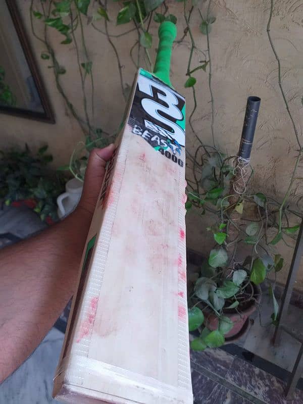 Hard ball Cricket bat 4