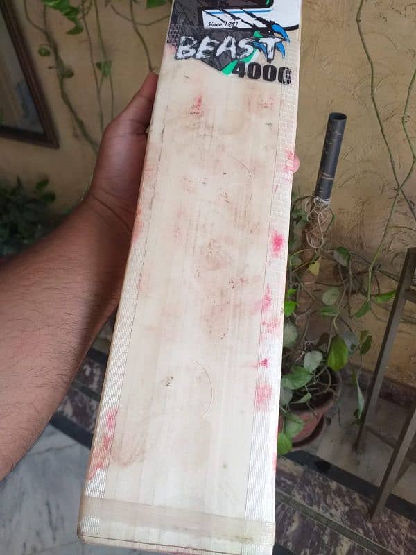 Hard ball Cricket bat 5