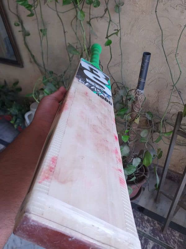 Hard ball Cricket bat 6