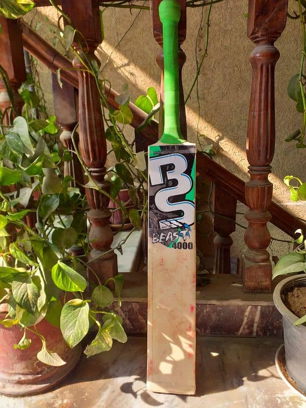 Hard ball Cricket bat 9