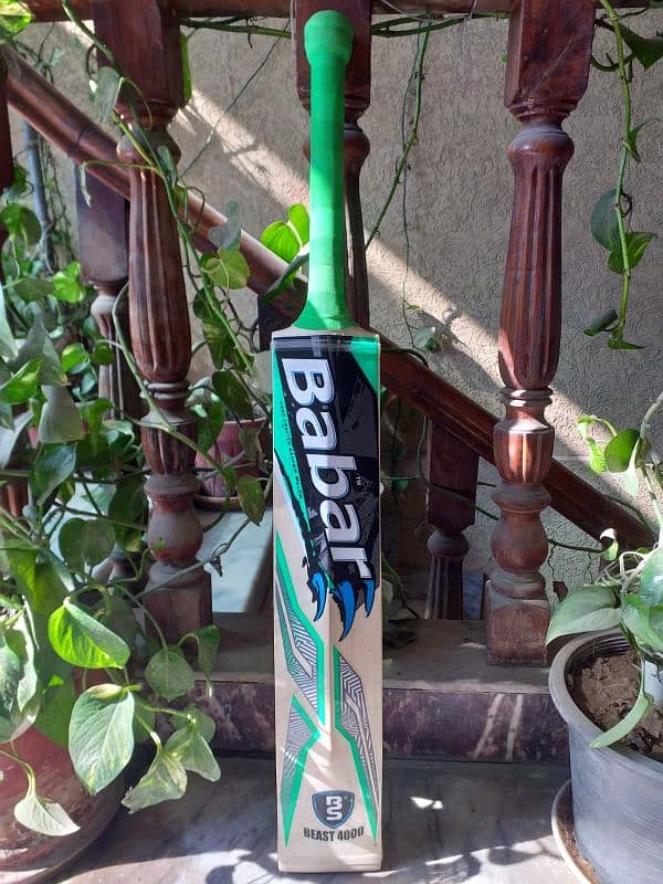 Hard ball Cricket bat 10