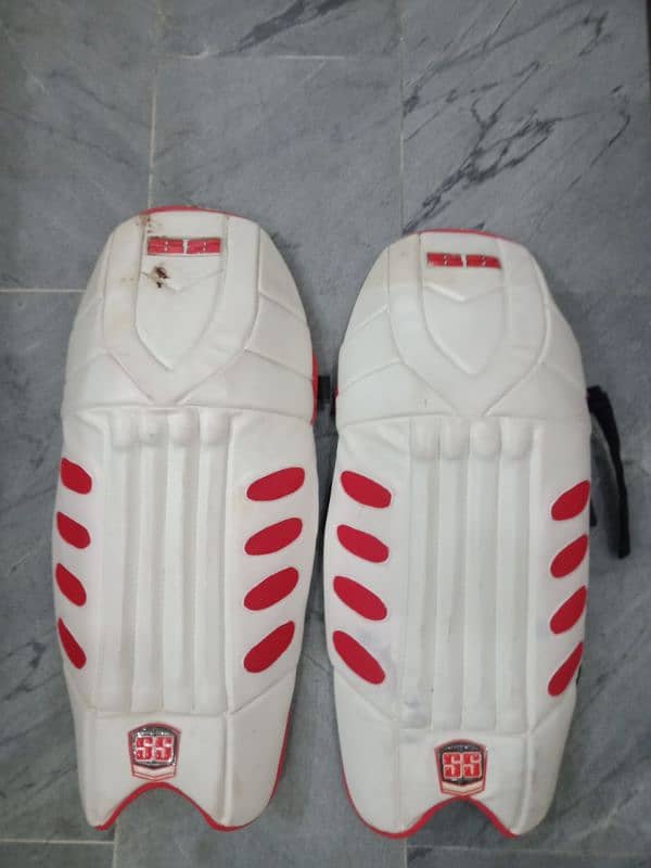 Cricket pads 1