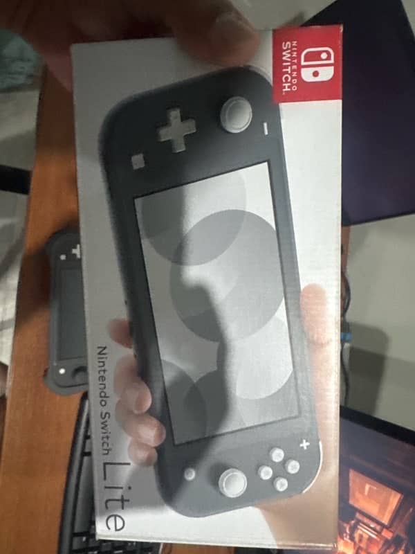 Nintwndo Switch Lite(Grey) 1