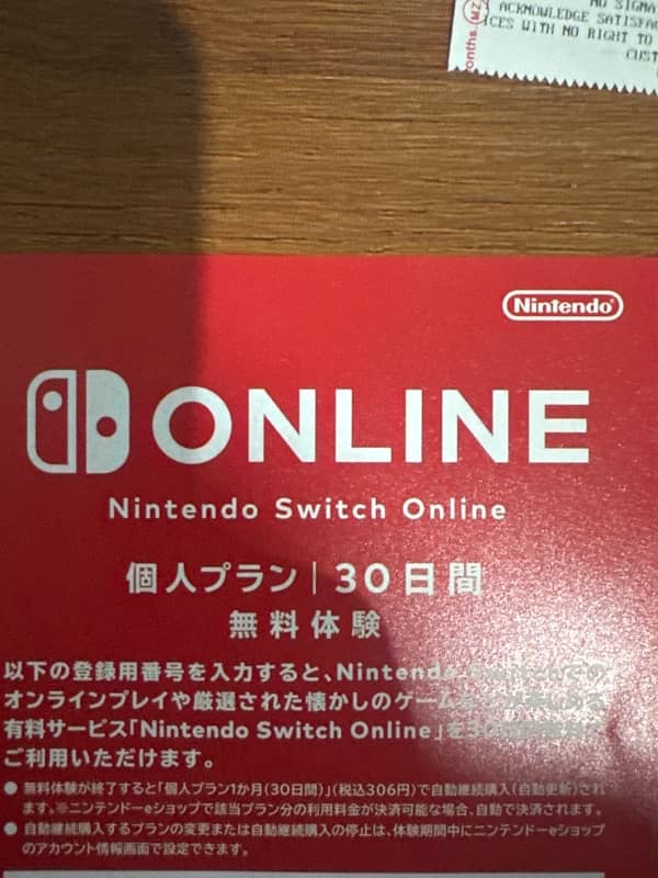 Nintwndo Switch Lite(Grey) 5