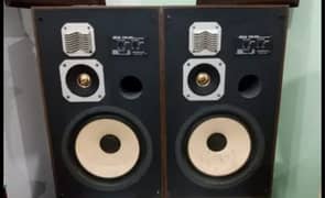 Akai 12" speaker system