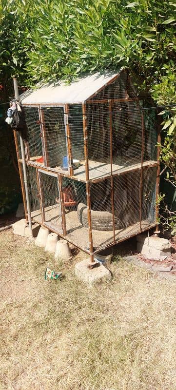 Hen and birds Cage made out of wood and steel. 0