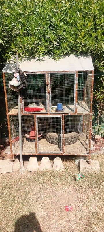 Hen and birds Cage made out of wood and steel. 1