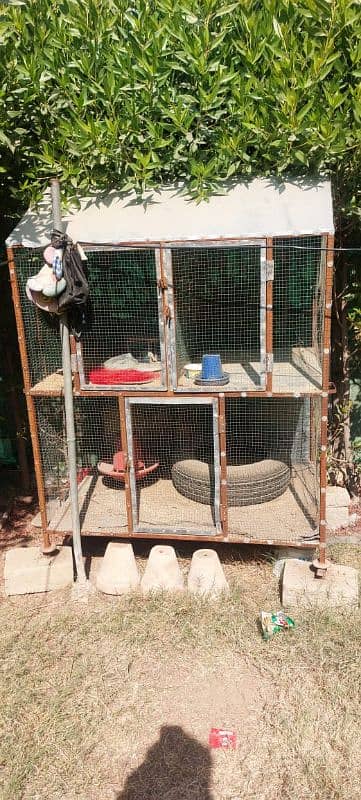 Hen and birds Cage made out of wood and steel. 2