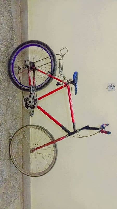 Phoenix Willing cycle for sale 0