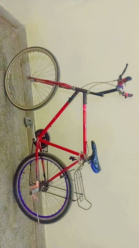 Phoenix Willing cycle for sale 3